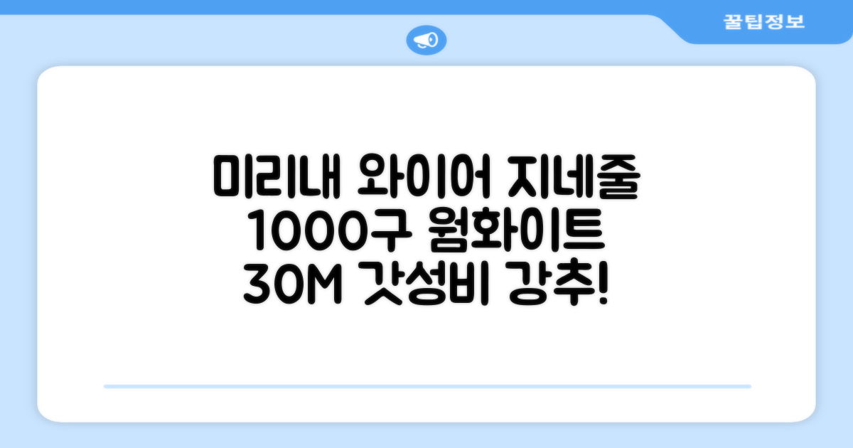 아리조명 LED 미리내 와이어 지네 전구 크리스마스 장식 줄 조명 30M 1000구 실버코팅, 웜화이트, 1개 추천 리뷰