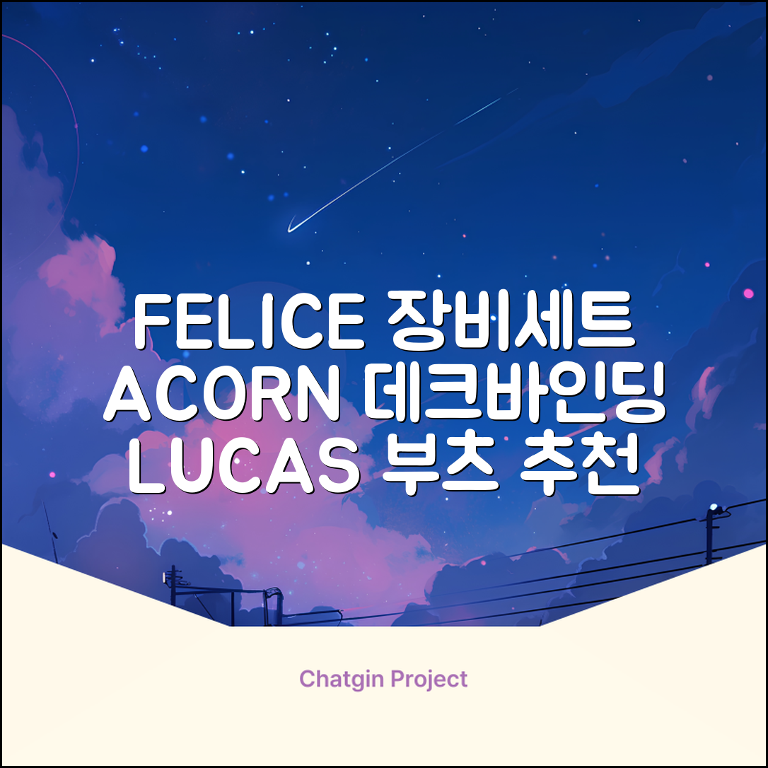 FELICE 장비세트6 ACORN데크 바인딩 LUCAS부츠, WESTSIDE 레드154+바인딩M, 1개 추천 리뷰