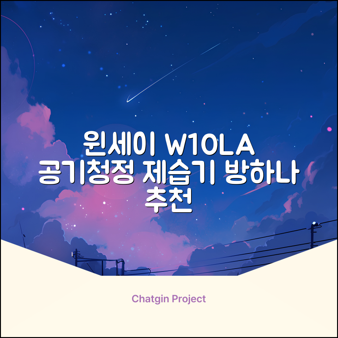 윈세이 인버터 방하나 공기청정 제습기 10L W10LA 추천 리뷰