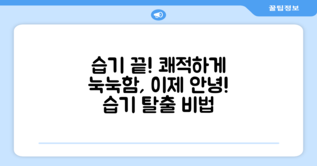 습기 고민, 해결해버리세요