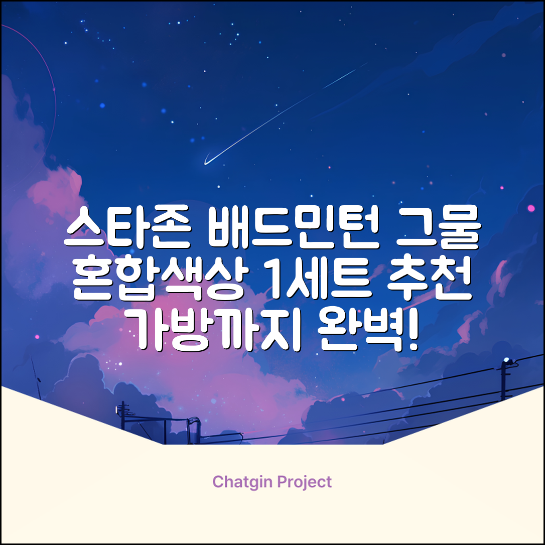 스타존 배드민턴 그물 네트 + 가방, 혼합색상, 1세트 추천 리뷰