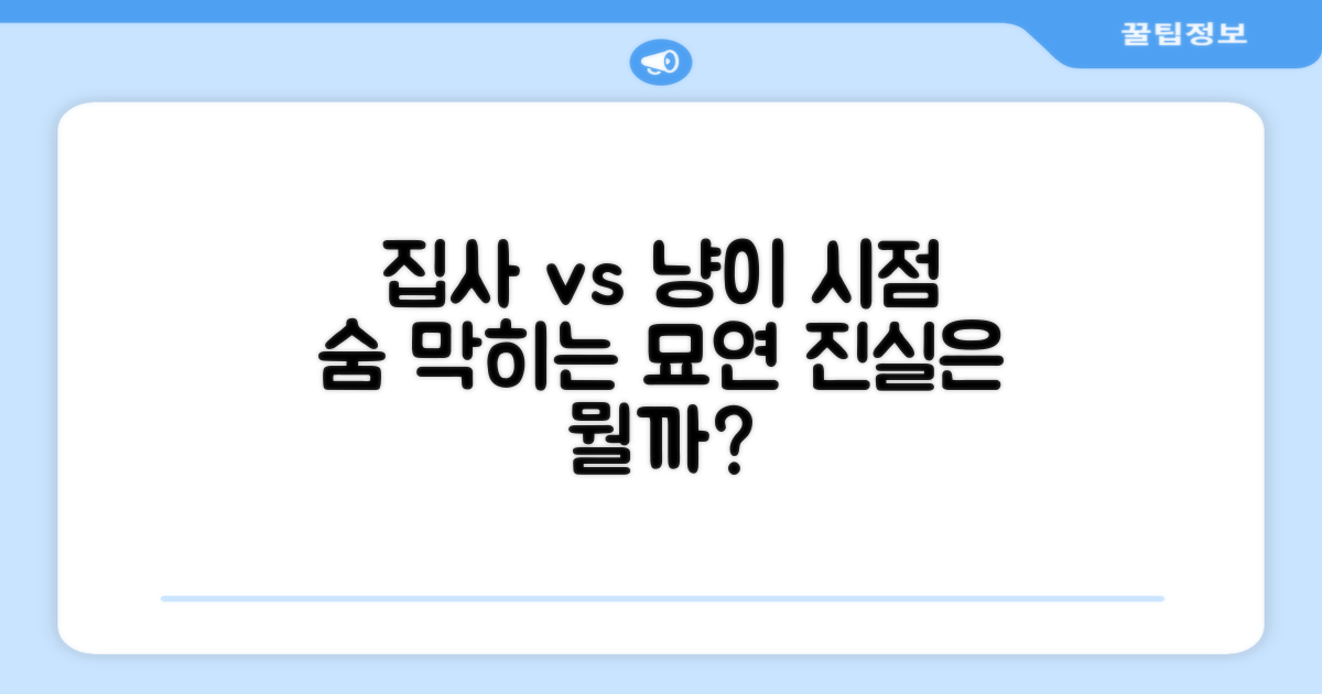 집사 vs 고양이 시점