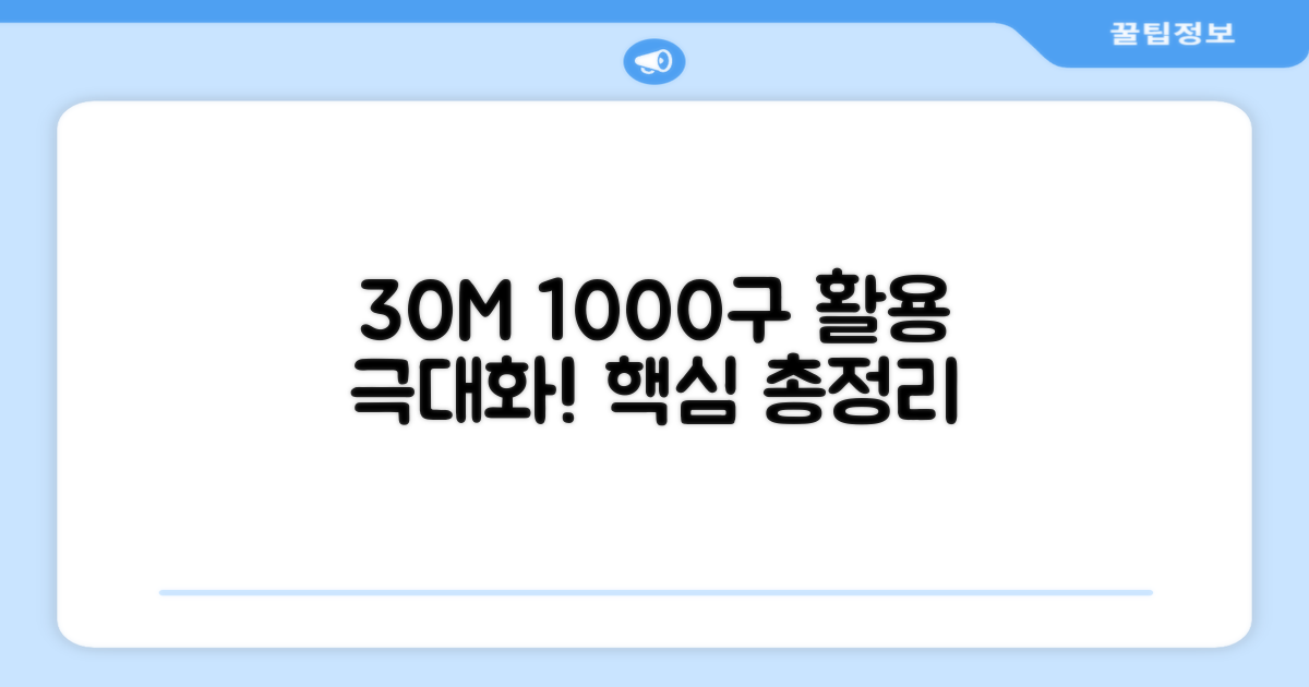 30M 1000구: 활용도 극대화