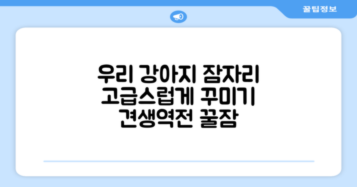 우리 강아지 잠자리, 고급스럽게