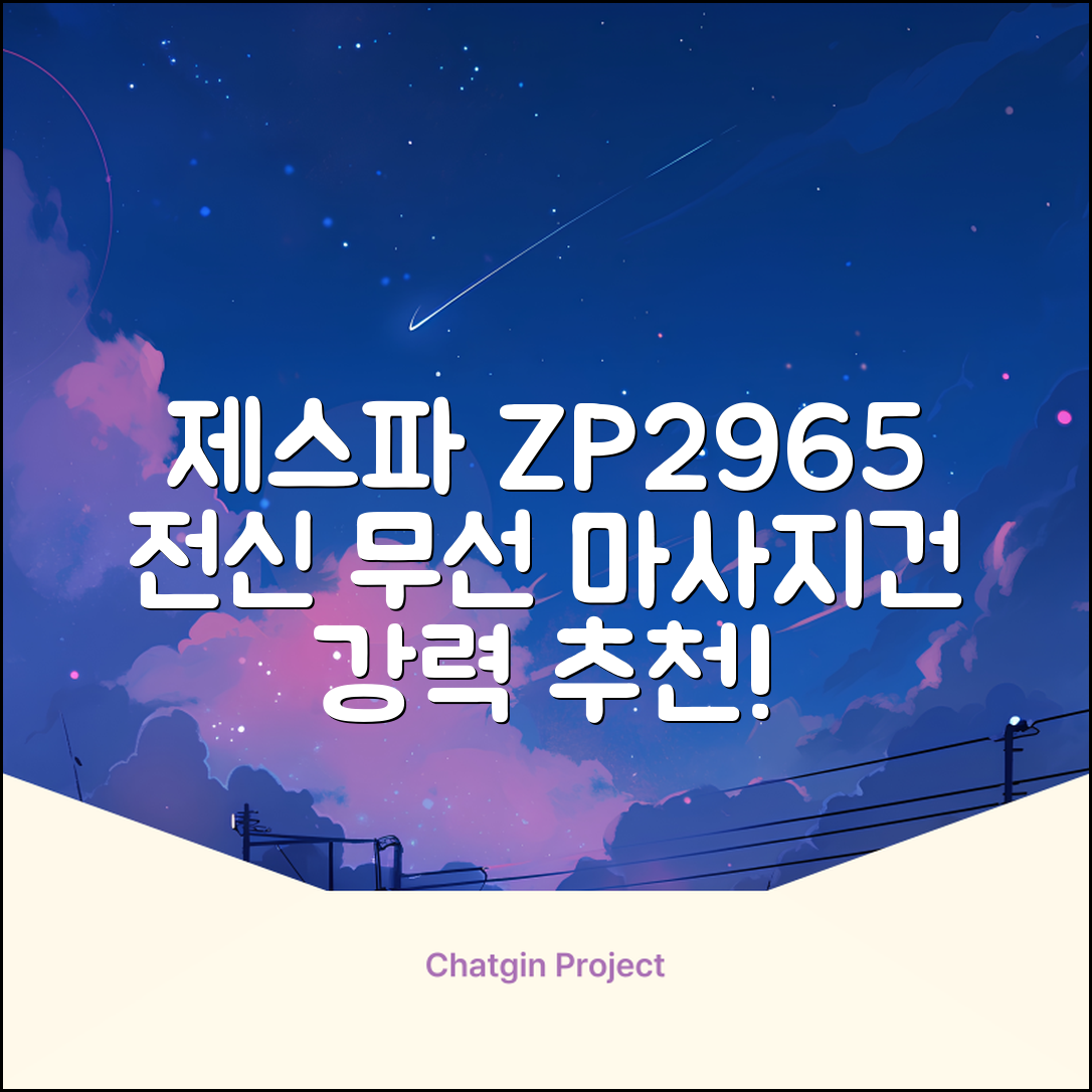 제스파 클래식 전신 무선 자동 마사지건 목어깨 안마기 ZP2965, 블랙 + 로즈골드 추천 리뷰