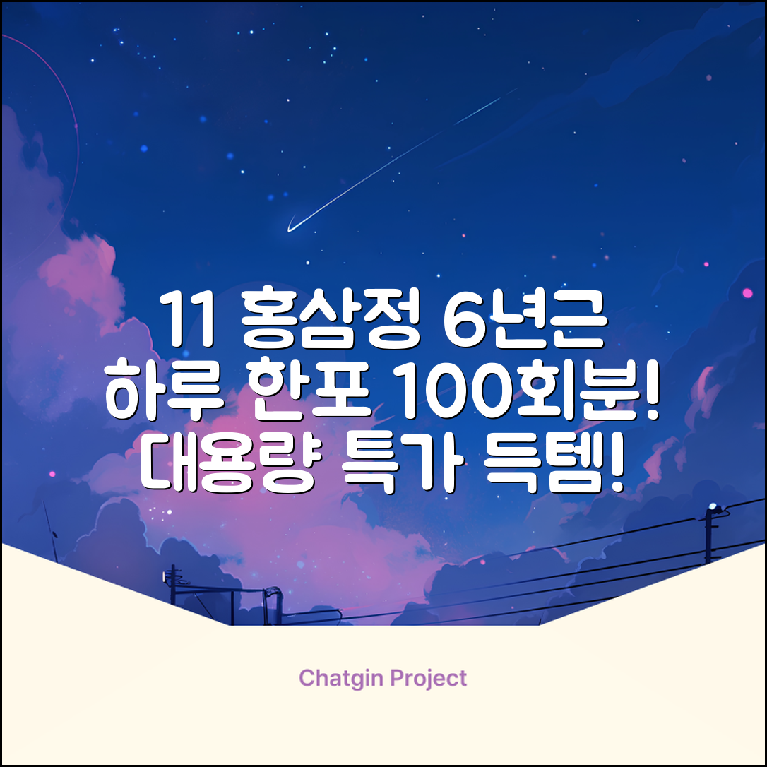 [1+1 특가] 홍삼정 6년근 하루한포 100회분 대용량+쇼핑백, 2개, 1L 추천 리뷰