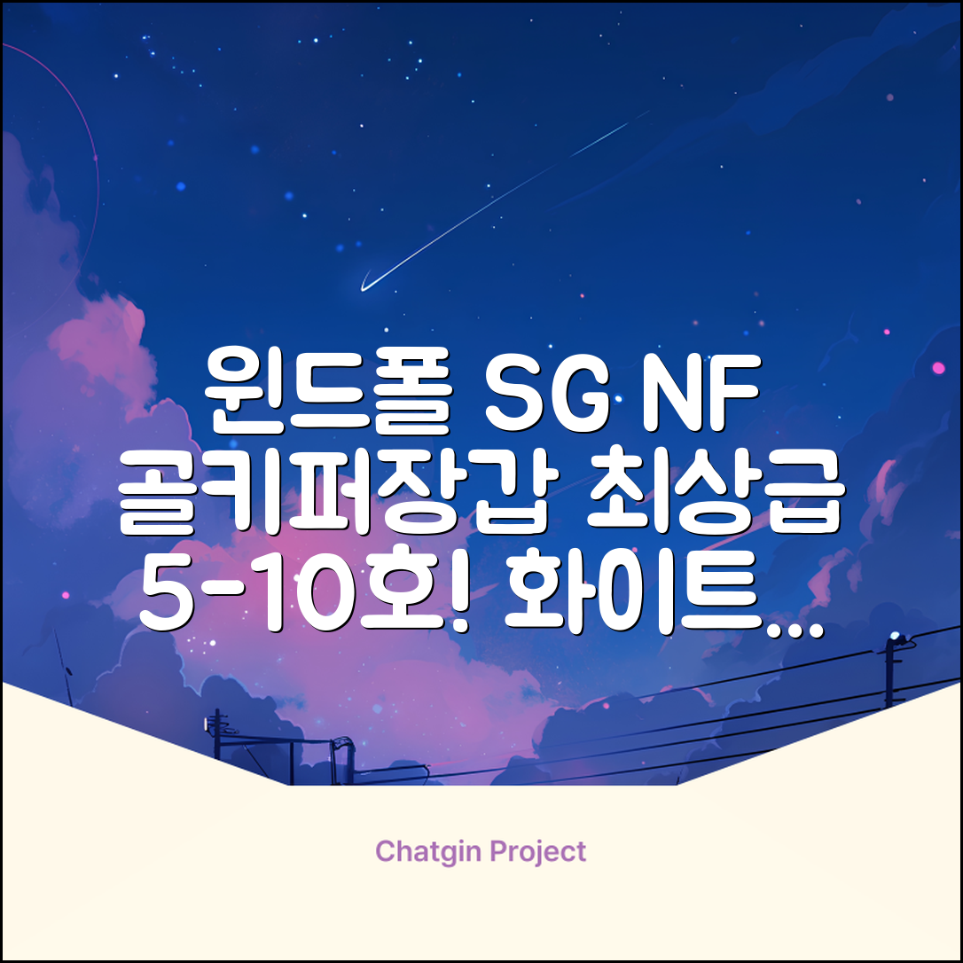 윈드폴스포츠 SG NF 축구 골키퍼장갑 5호-10호, 윈드폴스포츠 SG NF 골키퍼장갑 화이트 블랙, 1개 추천 리뷰