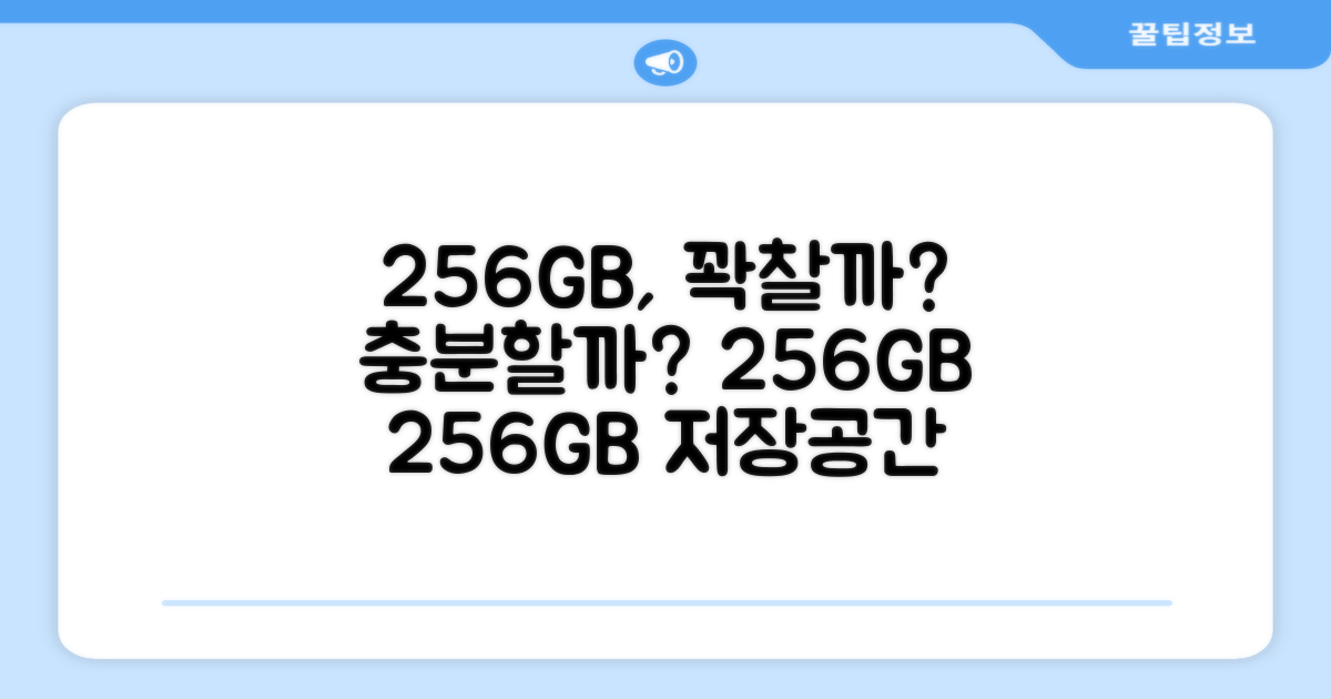 256GB 저장 공간, 충분할까?