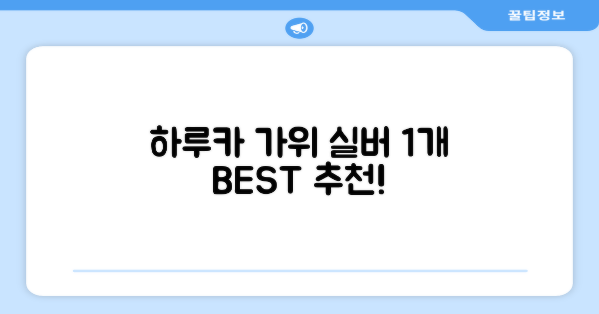 하루카 미용가위 세트, 실버, 1개 추천 리뷰